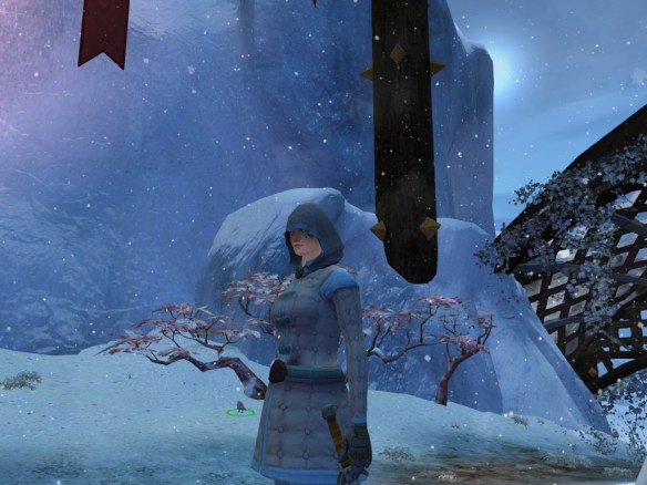 My Norn thief chilling in Hoelbrak