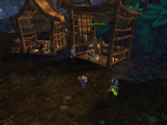 My warlock meeting with Anduin Wrynn and Koro Mistwalker in the Krasarang Wilds