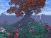 A kypari tree in the Townlong Steppes