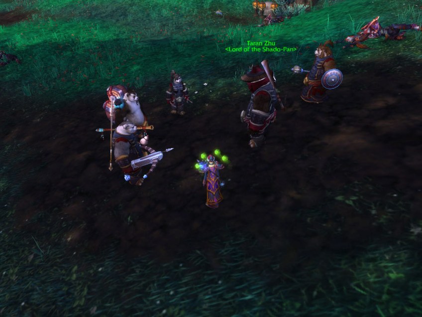 My warlock meeting with Taran Zhu and the other Shado-pan in the Townlong Steppes