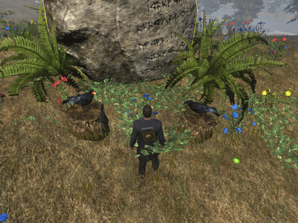 Playing a game of riddles with Huginn and Muninn in The Secret World