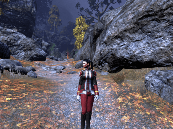 My Templar takes in the night in The Secret World