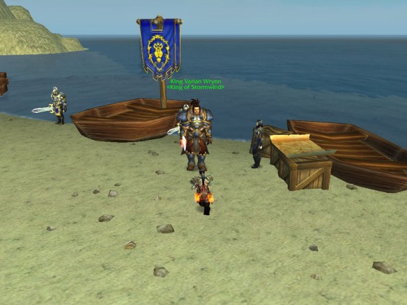 My rogue bows before King Varian Wrynn