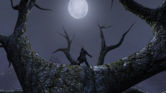 My Dragon atop Jack-O-Lantern's tree during The Secret World's Halloween event