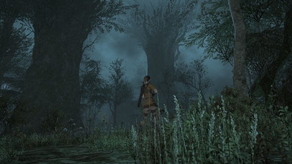 A foggy forest night in Final Fantasy XIV: A Realm Reborn