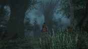 A foggy forest night in Final Fantasy XIV: A Realm Reborn