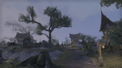 A hamlet by night in Elder Scrolls Online