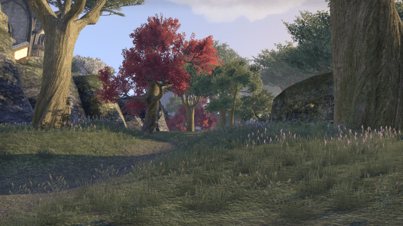 The woods of Auridon in Elder Scrolls Online