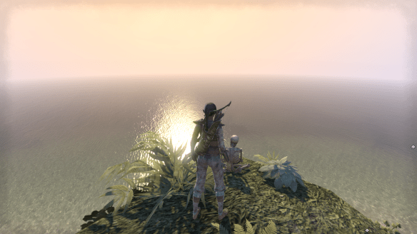 Watching the sun set over the ocean with one of Elder Scrolls Online's ubiquitous skeletons
