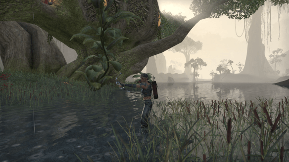 My Bosmer sorcerer hunts through Grahtwood in Elder Scrolls Online