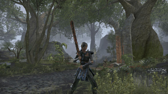 My Bosmer sorcerer in Elder Scrolls Online's Greenshade zone