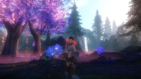 My assassin character in Riders of Icarus