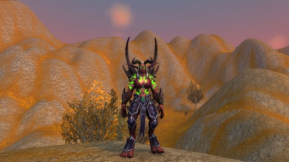 My demon hunter's metamorphasis form in World of Warcraft