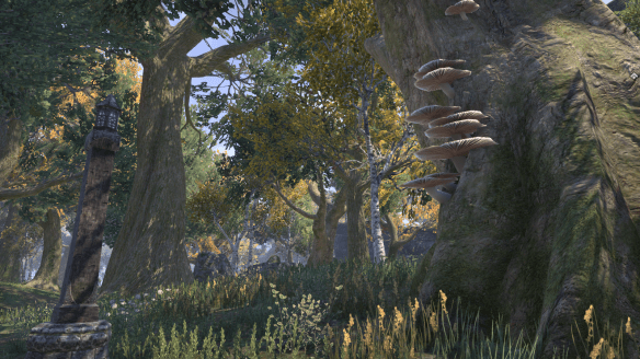 The Glenumbra zone in Elder Scrolls Online.