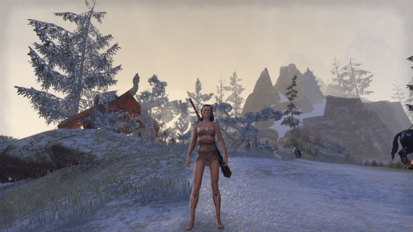 The Nordic Bather's Towel costume in Elder Scrolls Online