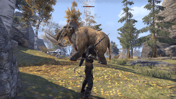 MY sorcerer goes hunting in Elder Scrolls Online