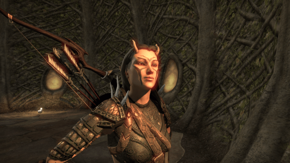 My main in Elder Scrolls Online