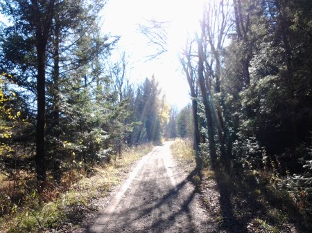 Looks pretty in the picture, but it's really a miserable place