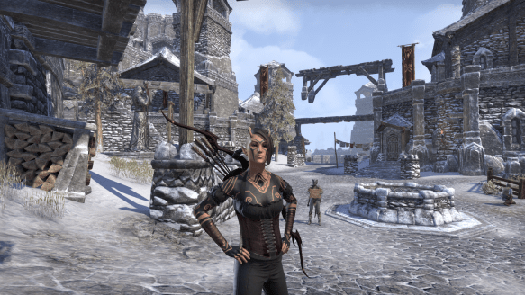 My Bosmer sorcerer looking stylish in Elder Scrolls Online