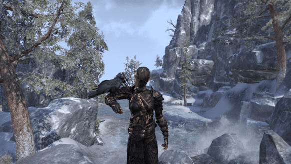 My sorcerer's latest new look in Elder Scrolls Online