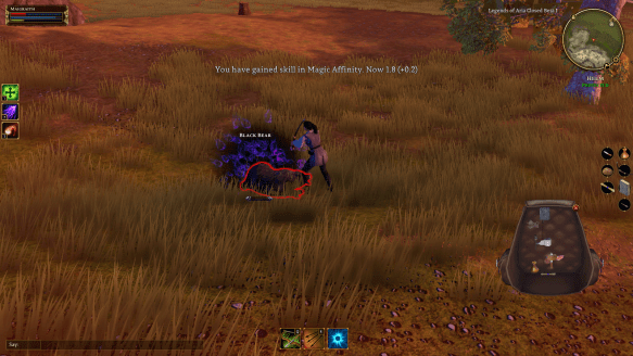 Combat in Legends of Aria