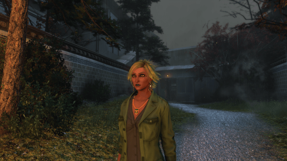 My Dragon alt in The Secret World