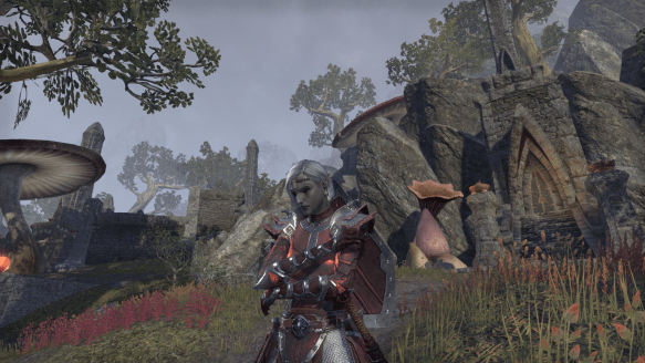 My templar in Elder Scrolls Online