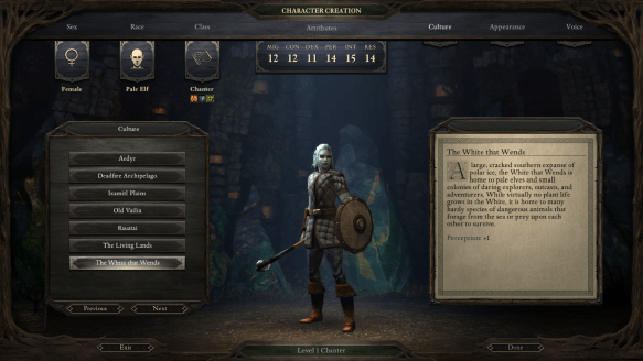 My character in Pillars of Eternity